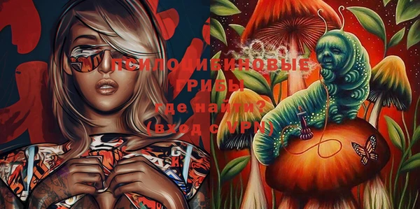 стафф Белокуриха