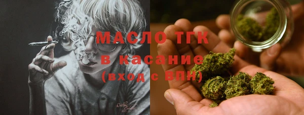 крисы Богородск