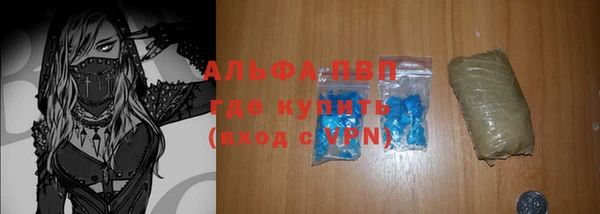 гашик Богданович