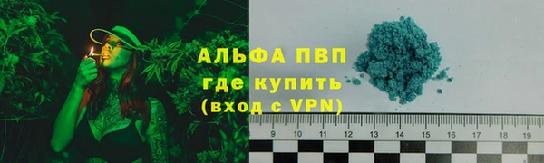 стафф Белокуриха