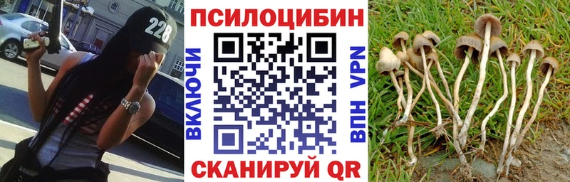 Галлюциногенные грибы Cubensis  Борзя 